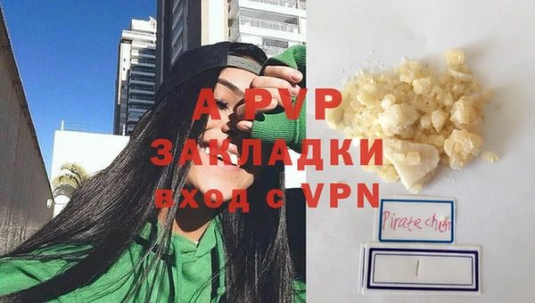 ПСИЛОЦИБИНОВЫЕ ГРИБЫ Майский