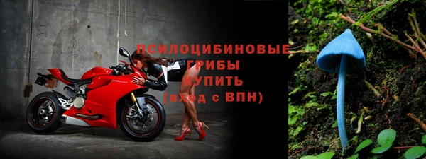 ПСИЛОЦИБИНОВЫЕ ГРИБЫ Майский